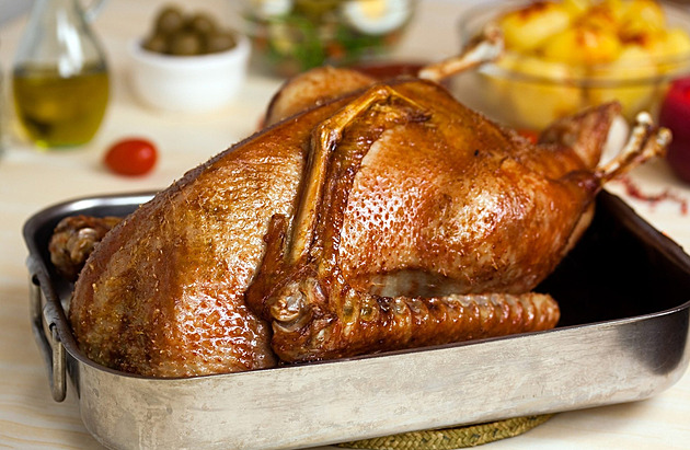 Svatomartinská husa podraží. Chovatelům vzrostly náklady, hlásí drůbežářská unie