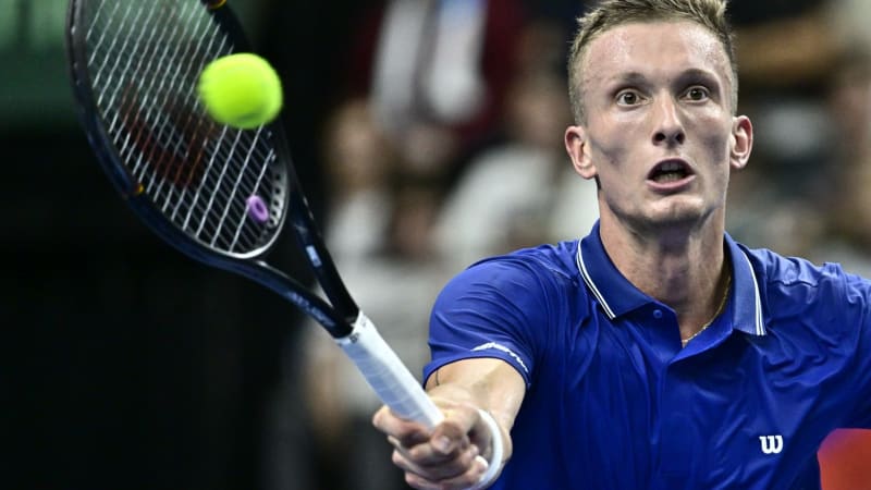 Lehečka s Menšíkem zařídili výhru nad USA: Tenisté postupují do finálového turnaje Davis Cupu