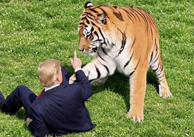 Trump se vysmál muži zabitému tygrem. Pak ukázal, jak by šelmu zkrotil